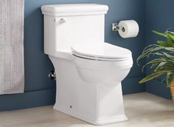One Piece Toilets	